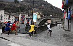 Gara delle Bighe 2011-7805